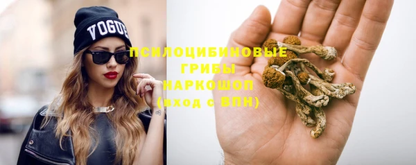 сатива Майский