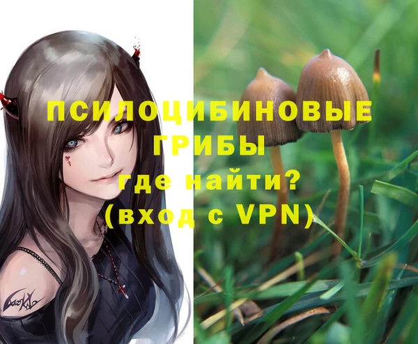 твердый Магас