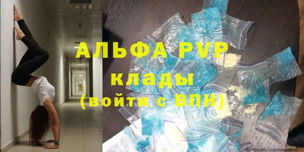 твердый Магас