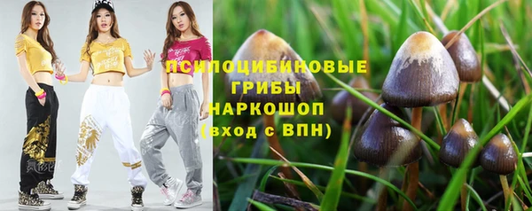 сатива Магадан
