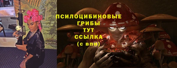 сатива Майский