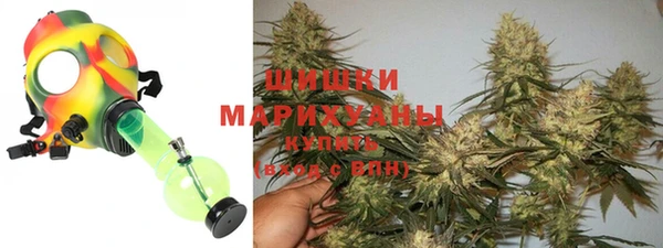 твердый Магас