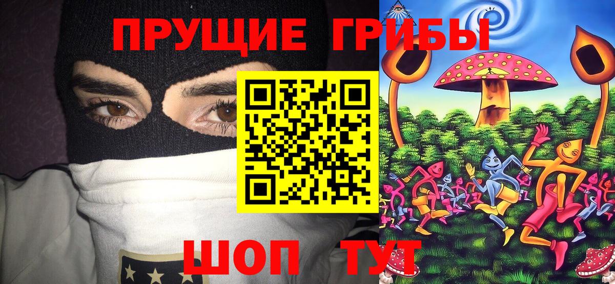 где можно купить   Вход с VPN  Джанкой  Галлюциногенные грибы Magic Shrooms 